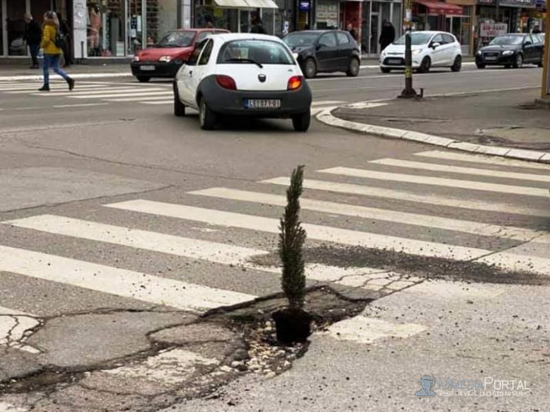 Leskovčanin zasadio drvo u rupi na ulici!