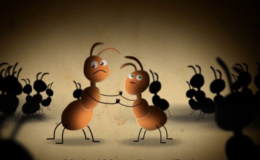 Saznajte na koju padne mrav kad se napije!?
