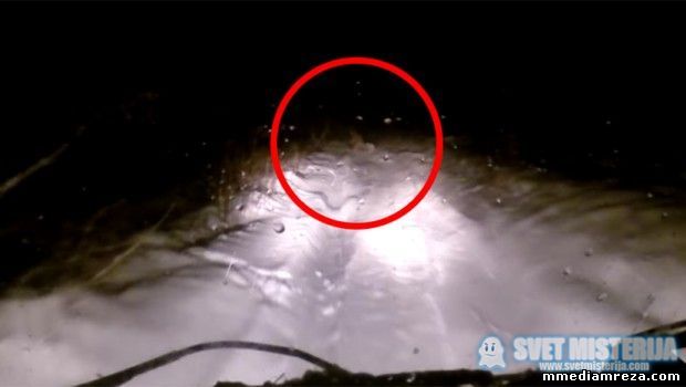 Čudno STVORENJE pretrčalo snegom zatrpan put u Rusiji! – VIDEO