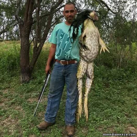 Čovek iz Teksasa ulovio je ogromnu žabu, a fotografija sa njegovim gigantskim ulovom odmah je postal...